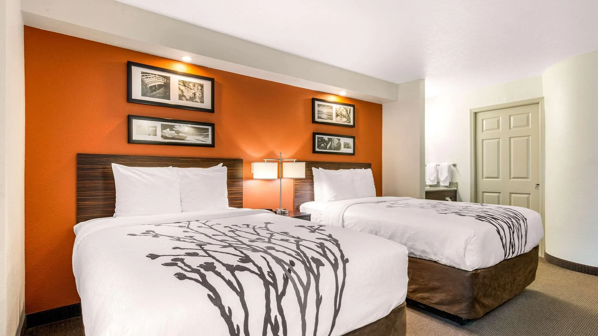 Sleep Clearwater-st Petersburg Locanda Clearwater