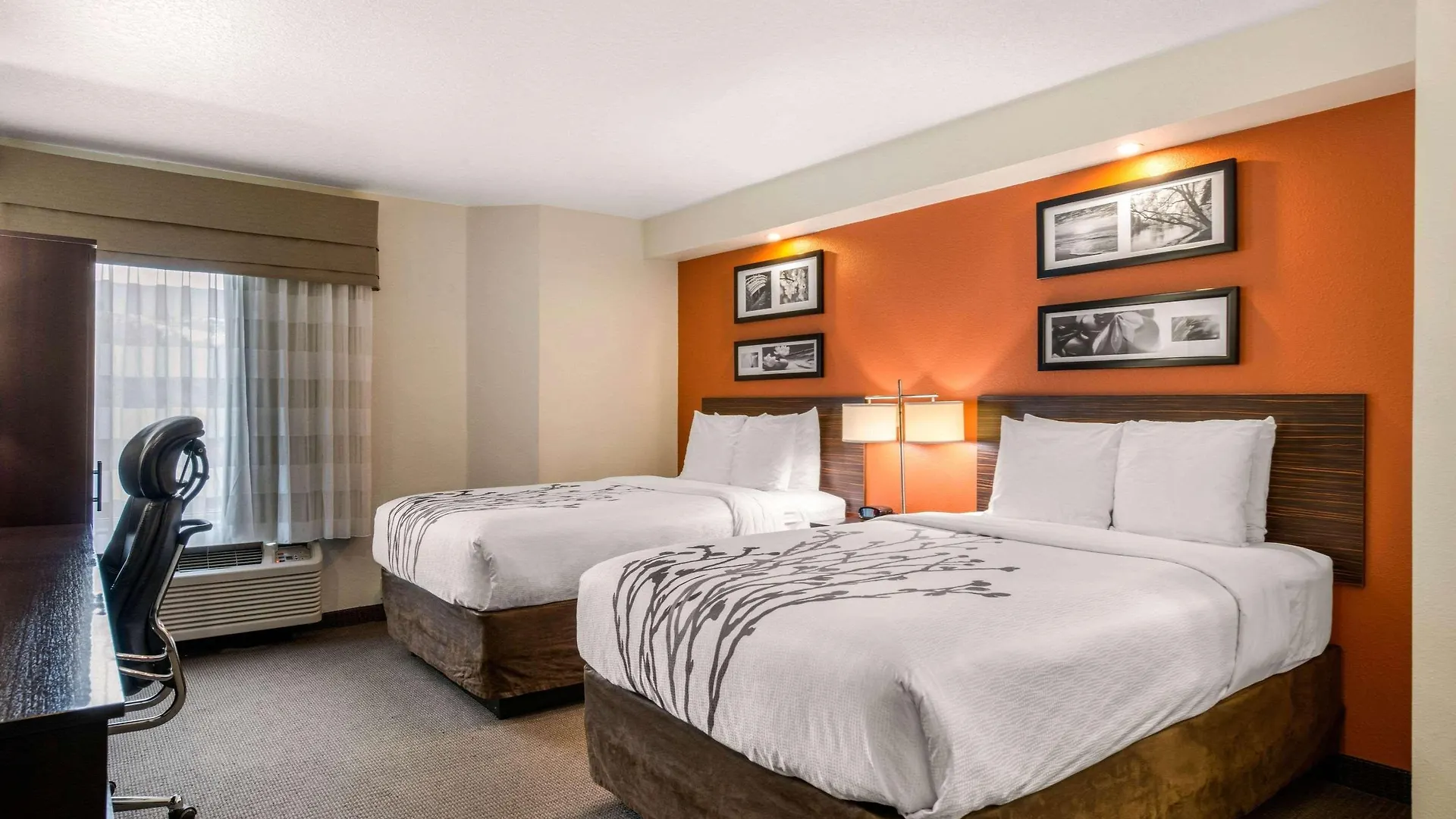 Sleep Clearwater-st Petersburg Locanda 2*