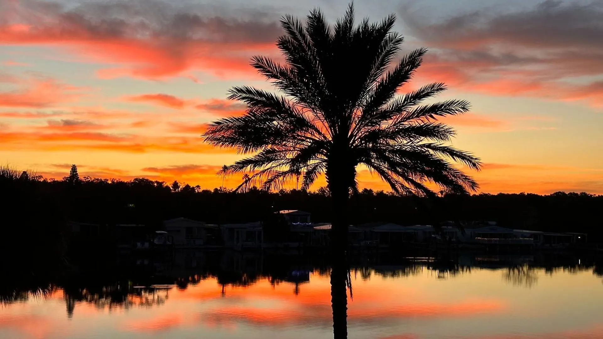 Intercoastal Clearwater