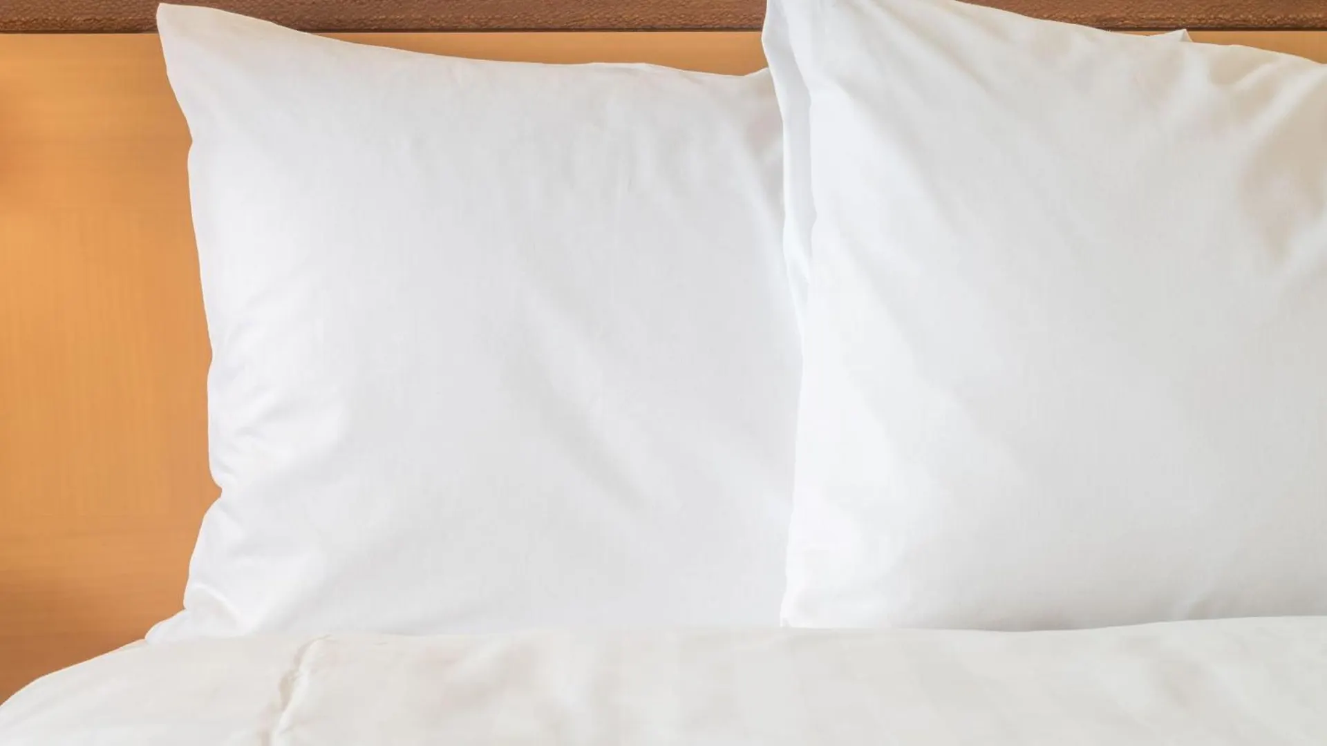 Express Clearwater East - Icot Center By Ihg