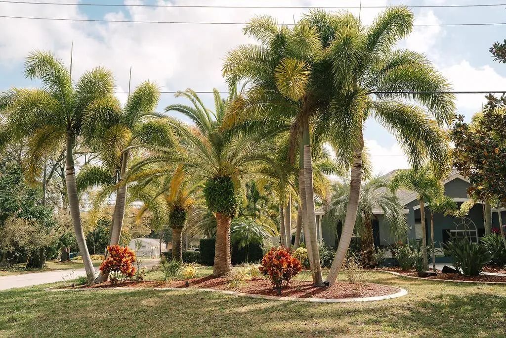 Holiday home Tropical Paradise - Heated Pool, & Bbq - Close To Restaurants & Beaches! Clearwater