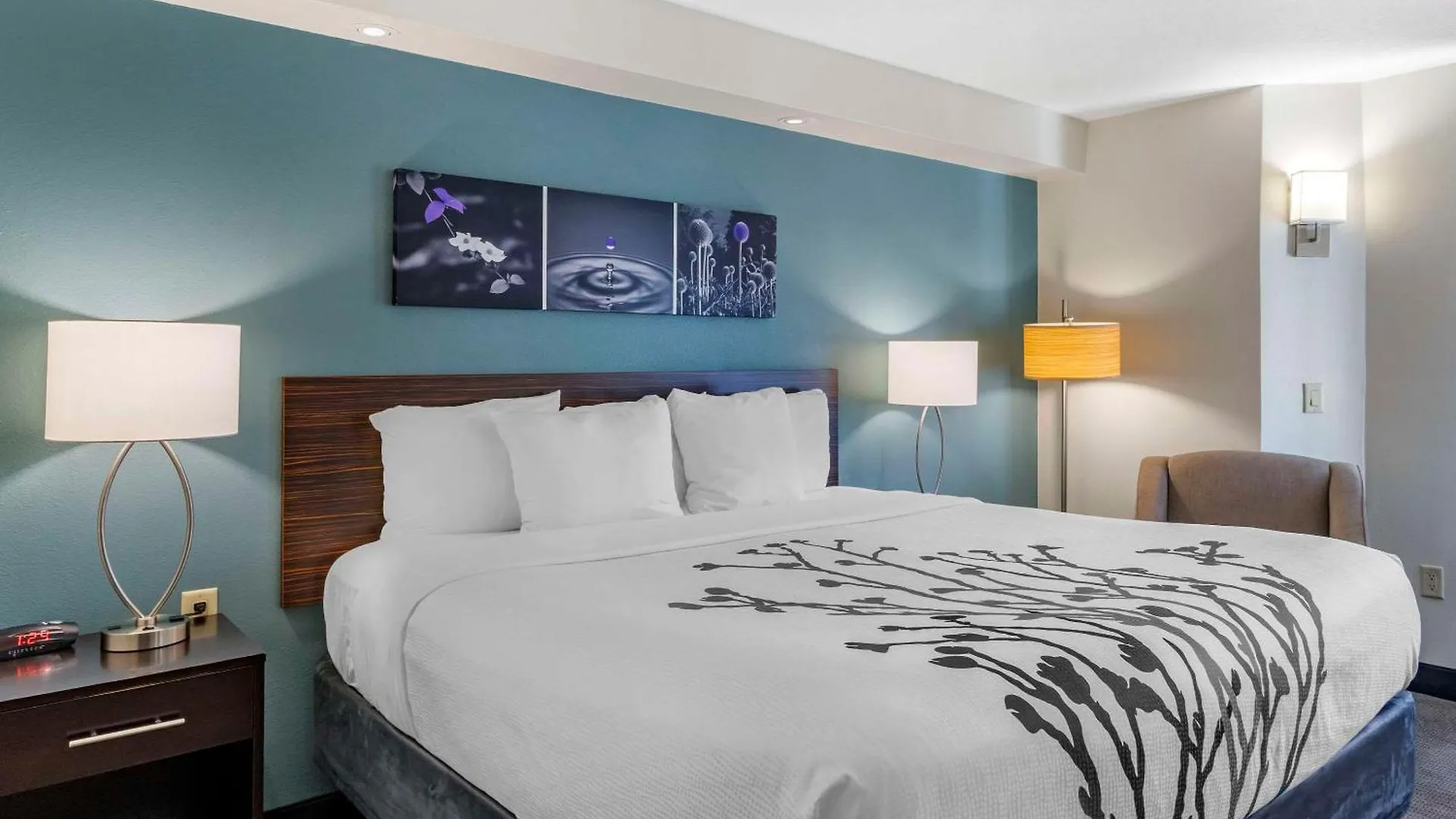 Locanda Sleep Clearwater-st Petersburg