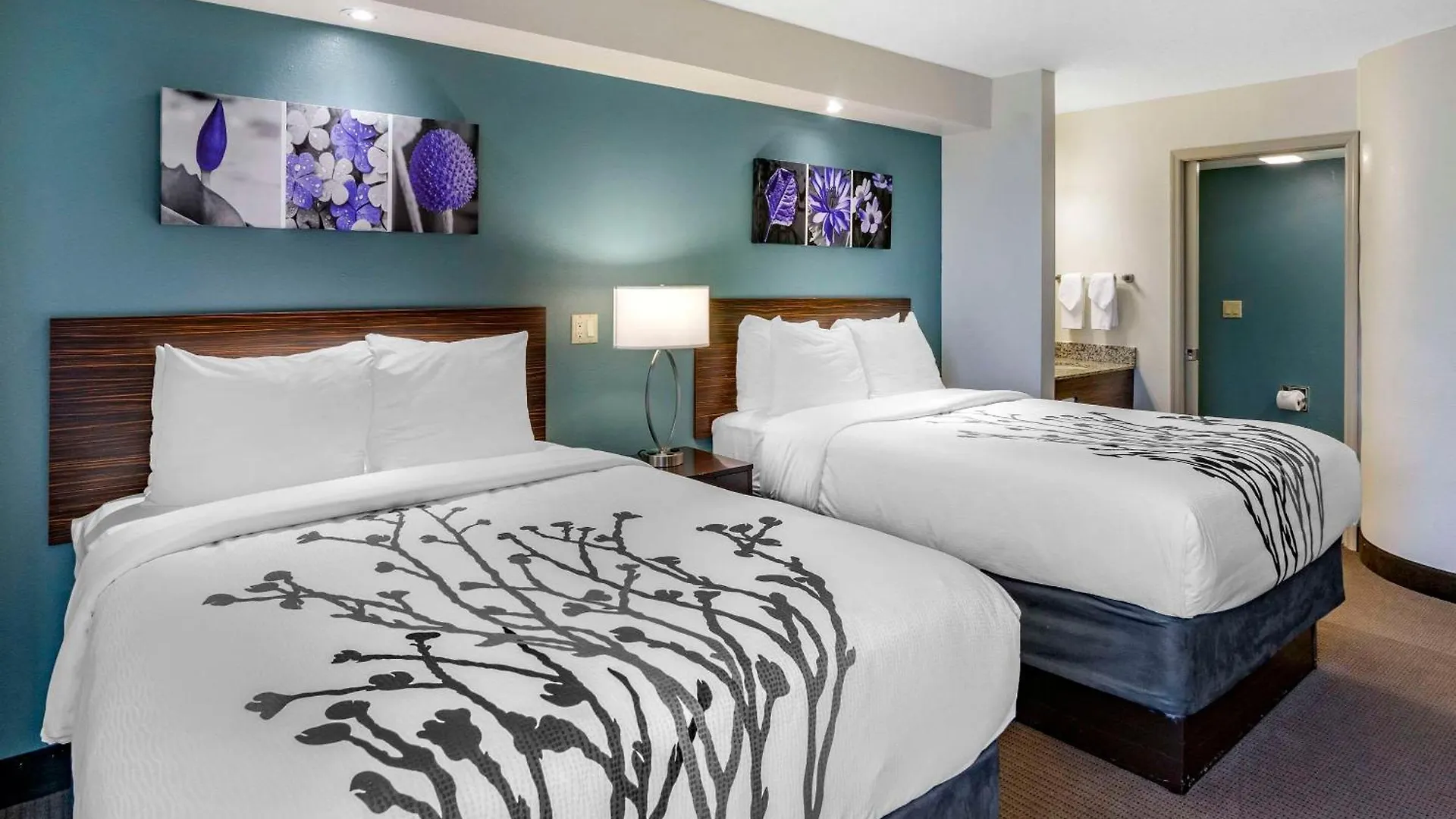 Locanda Sleep Clearwater-st Petersburg Clearwater