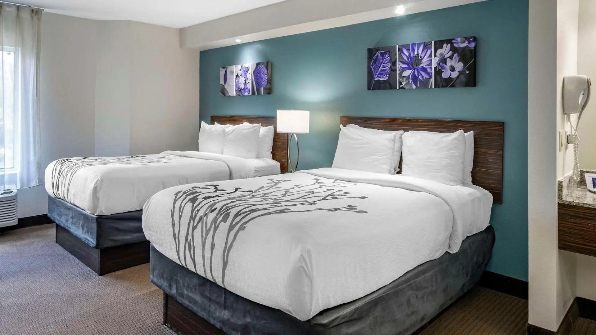 Locanda Sleep Clearwater-st Petersburg