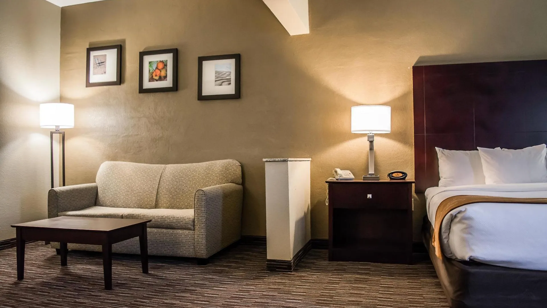Hotel Comfort - Dunedin Clearwater