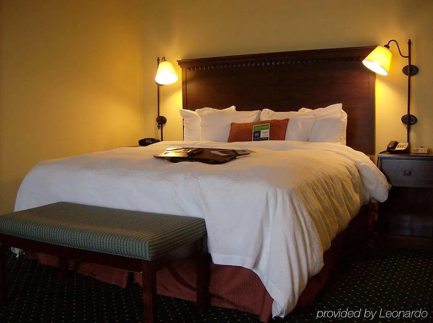 Hotel Hampton & St Petersburg Ulmerton Road Fl Clearwater