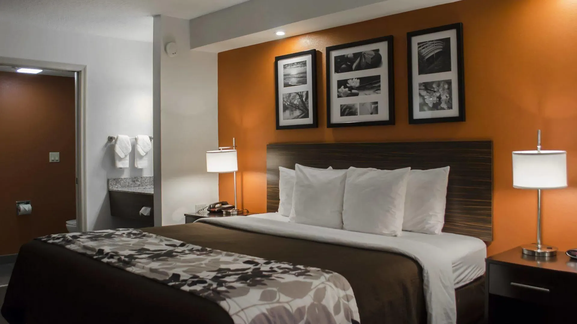Sleep Clearwater-st Petersburg Clearwater