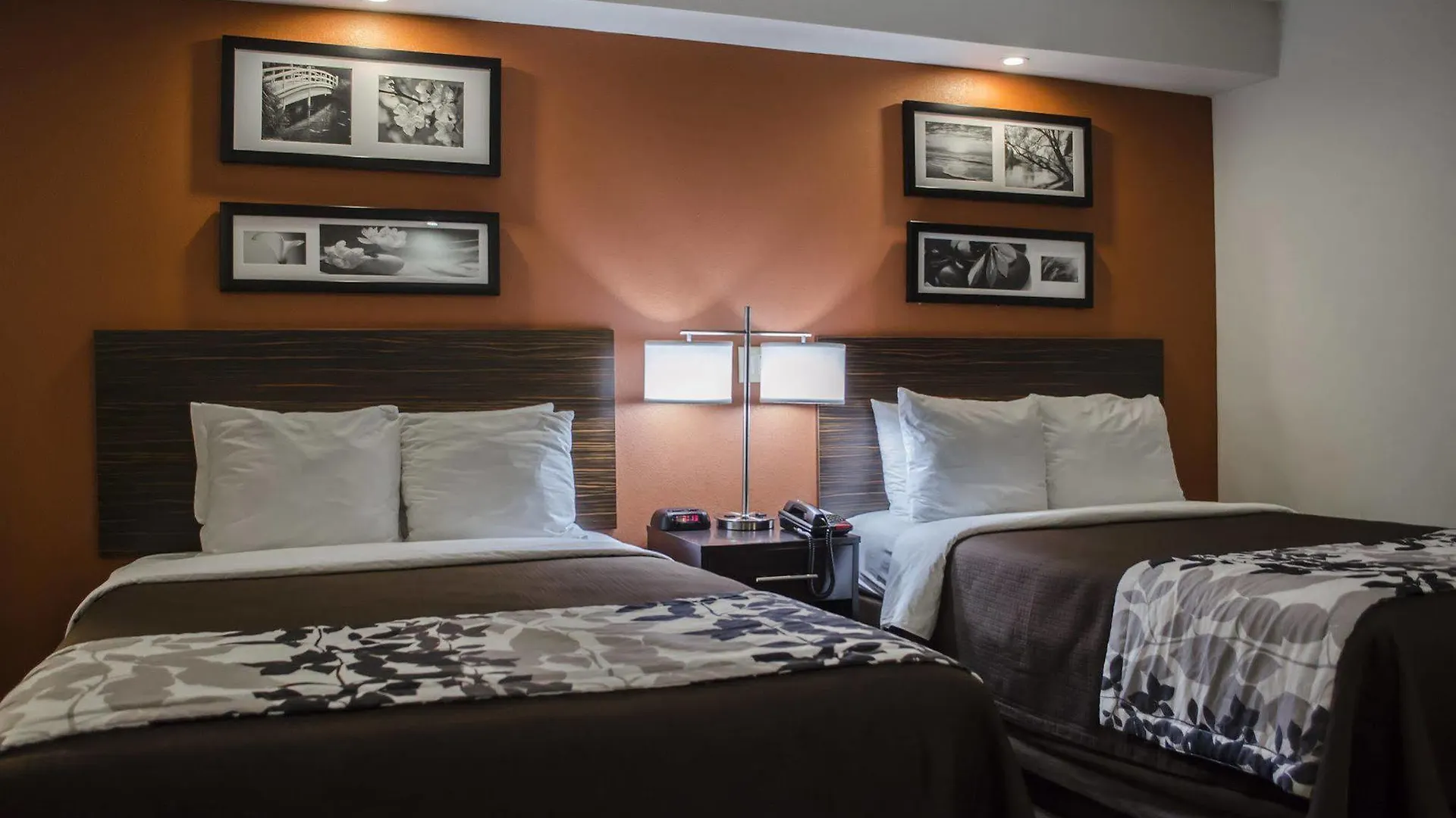 Sleep Clearwater-st Petersburg Clearwater
