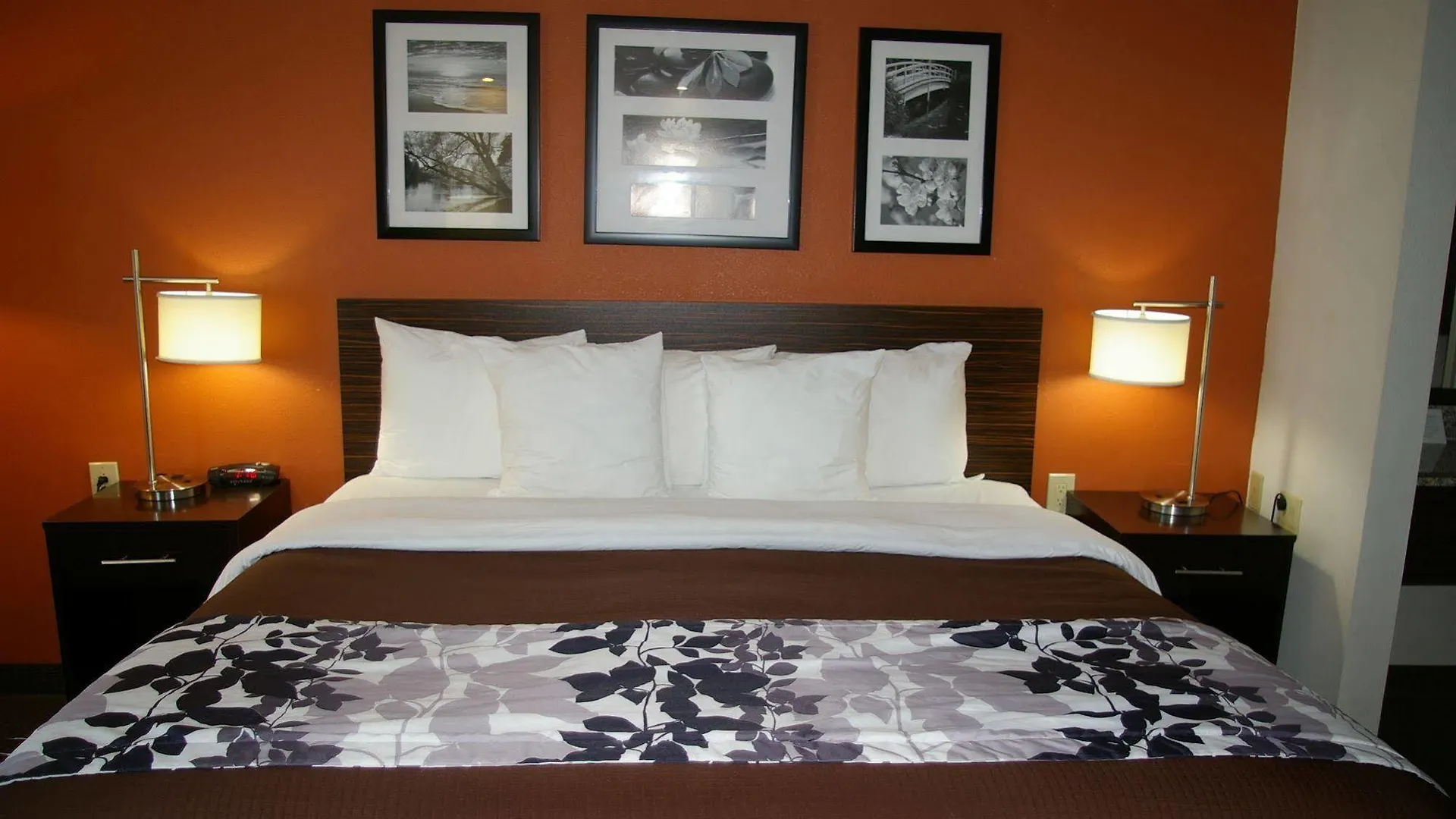 Sleep Clearwater-st Petersburg Locanda Clearwater