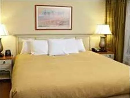 Homewood By Hilton St. Petersburg Отель Клируотер