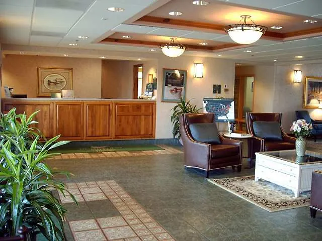 Homewood By Hilton St. Petersburg 3* Клируотер
