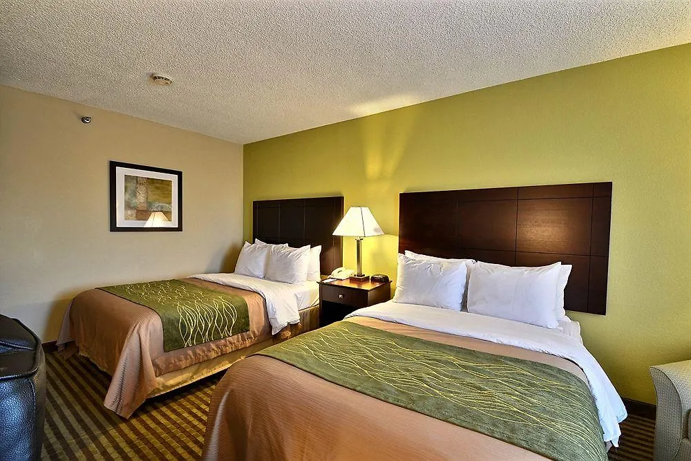 Comfort & St Pete - International Airport Hotell