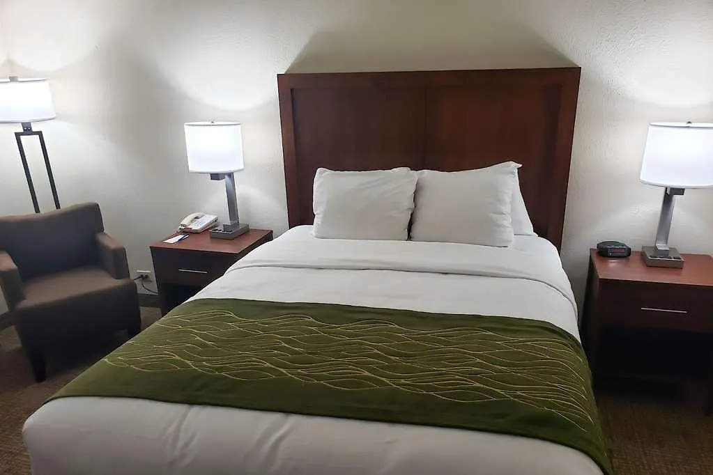 Comfort & St Pete - International Airport Hotell Clearwater