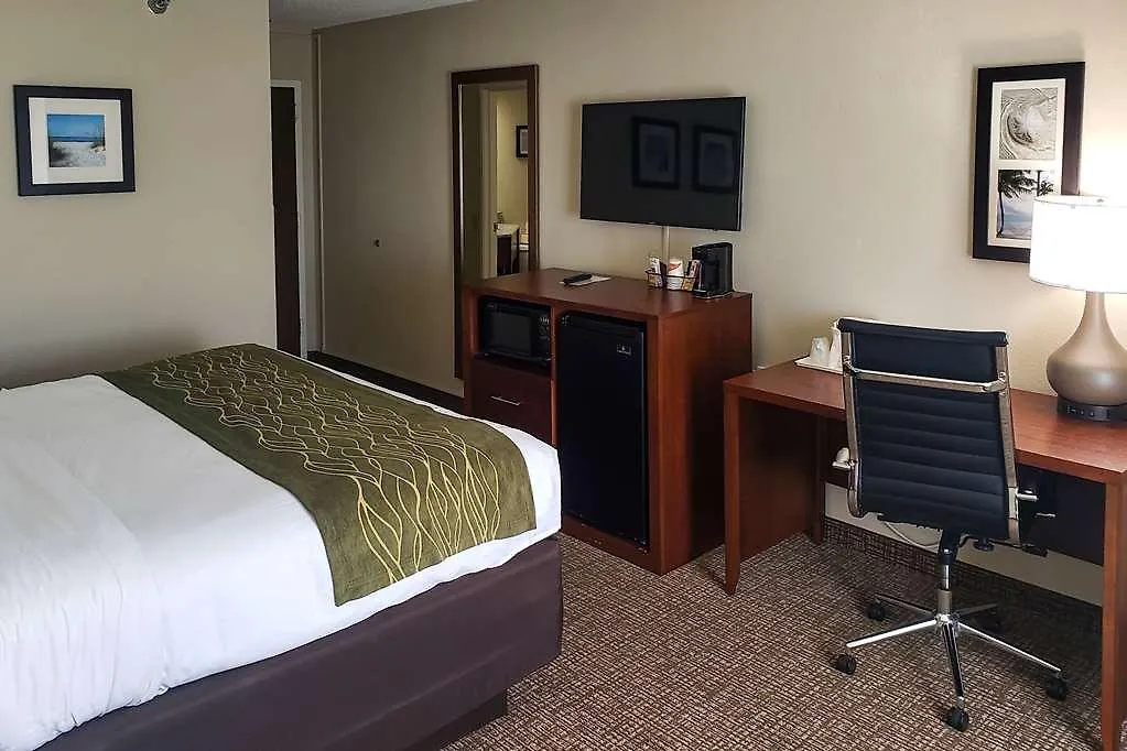 Comfort & St Pete - International Airport