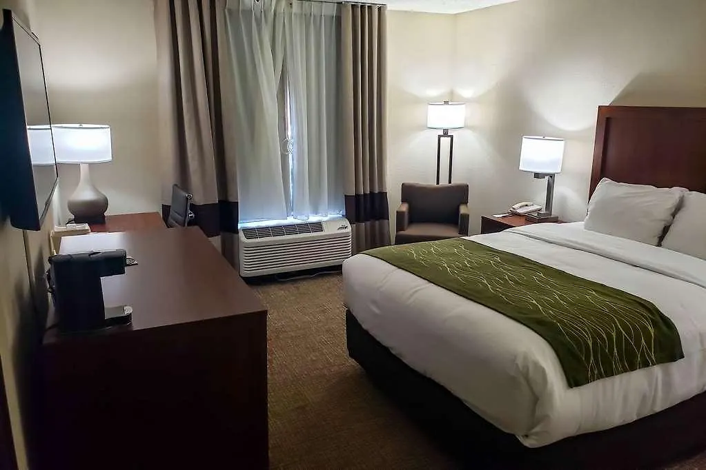 Comfort & St Pete - International Airport Hotell 2*