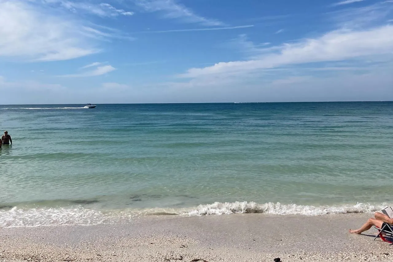 Escape To Honeymoon Island * Clearwater