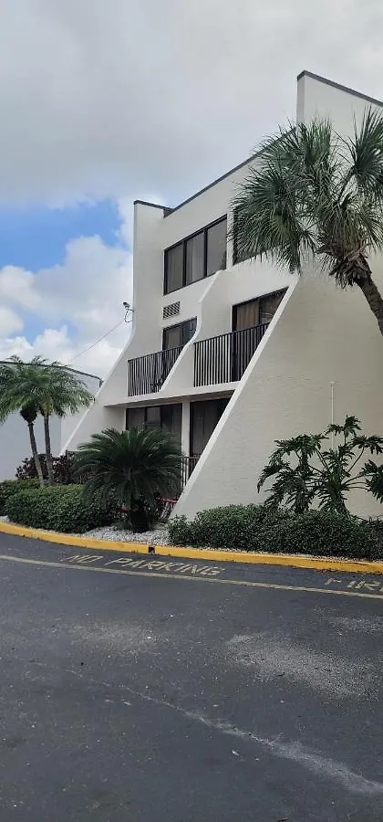 Tropical Palms Клируотер