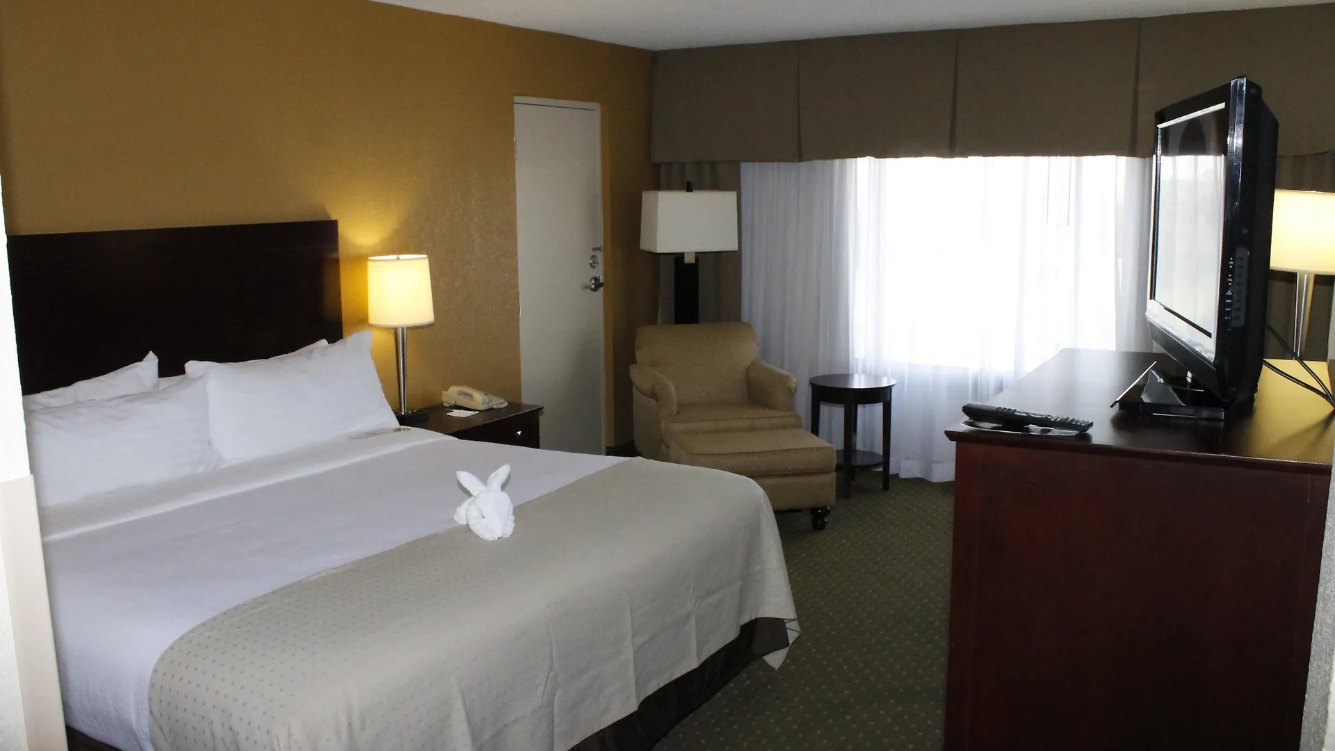 St. Petersburg N - Clearwater, An Ihg