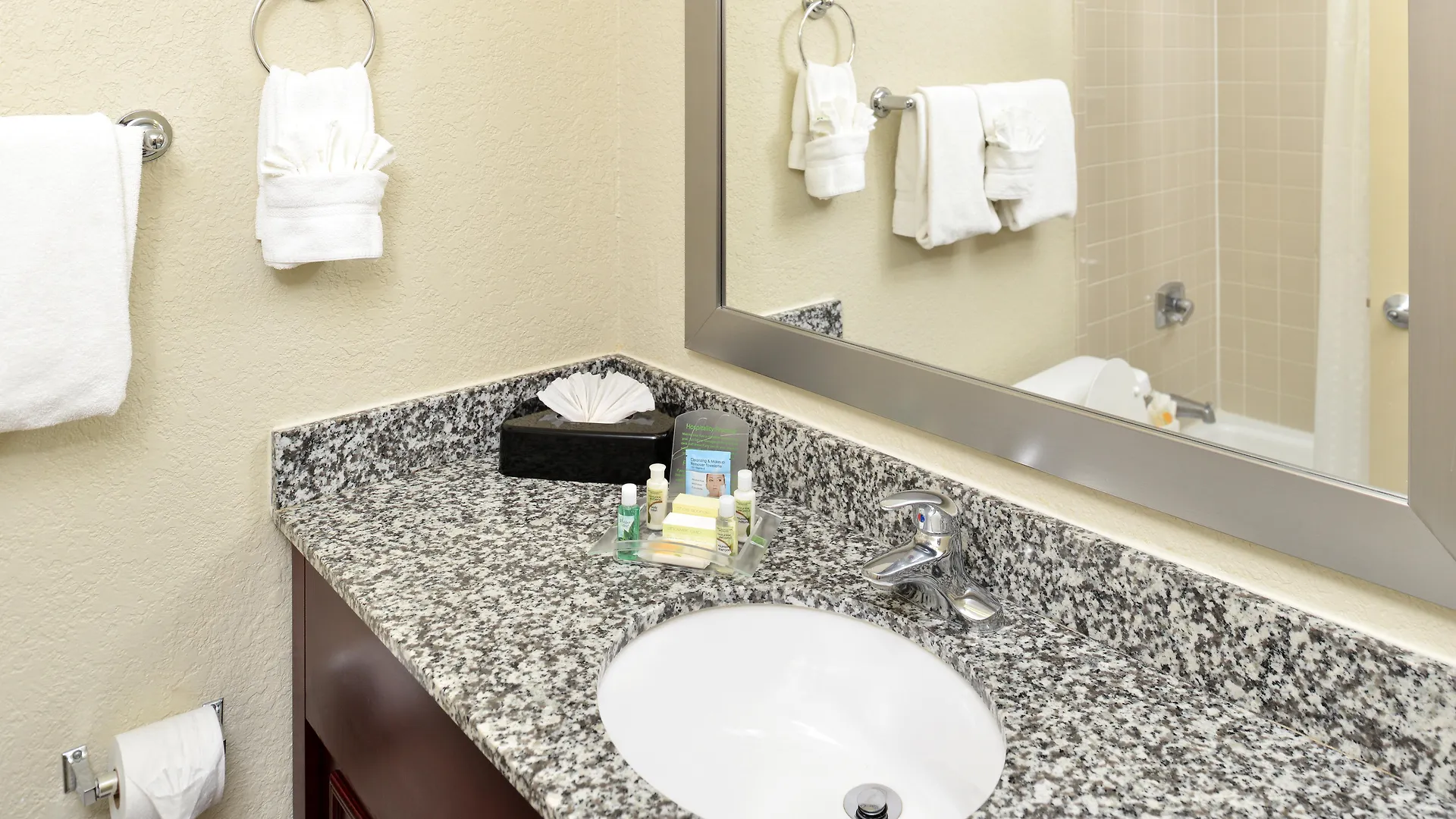 Hotel St. Petersburg N - Clearwater, An Ihg 3*