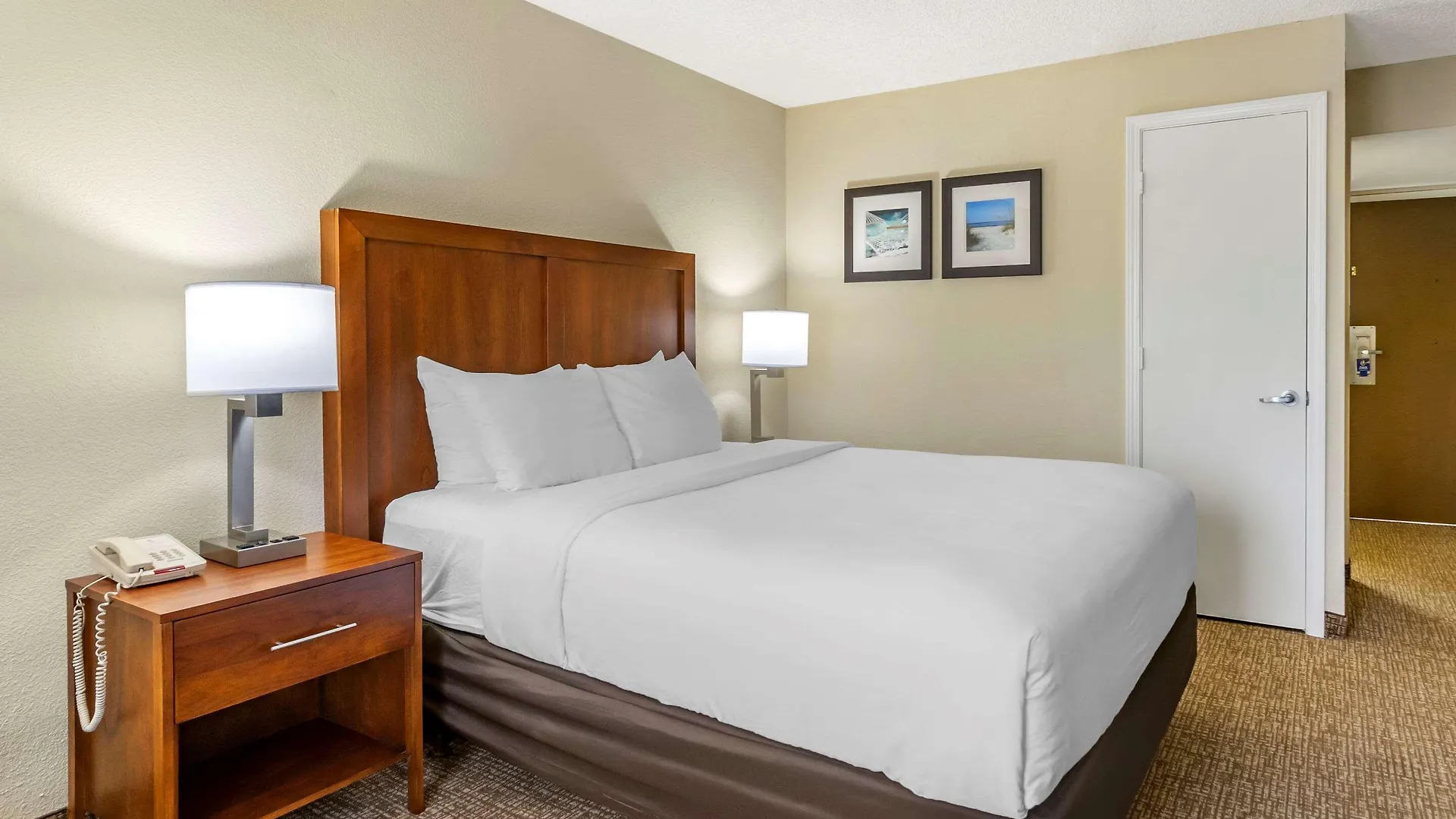 Comfort & St Pete - International Airport
