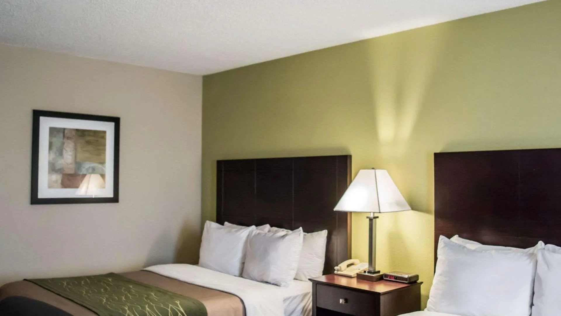Comfort & St Pete - International Airport Hotell Clearwater