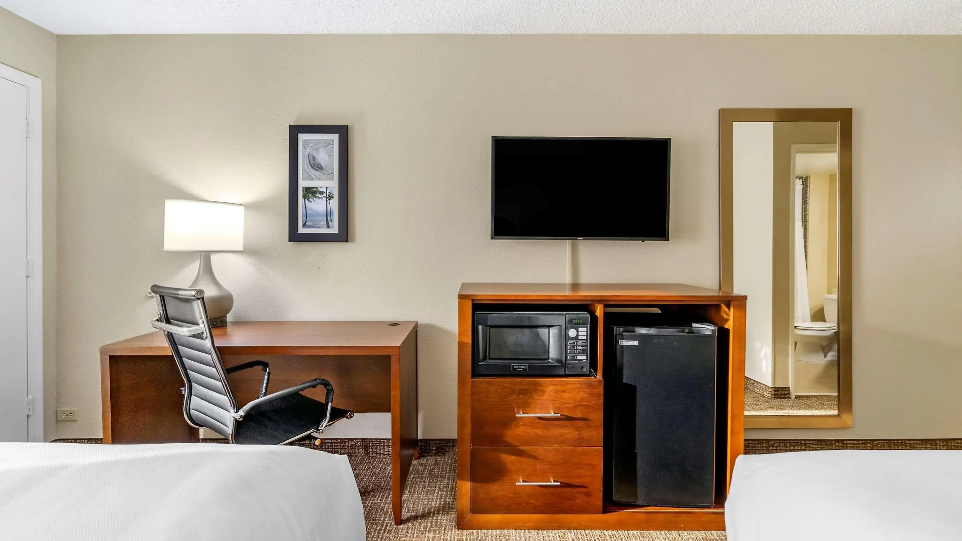 Hotell Comfort & St Pete - International Airport Clearwater