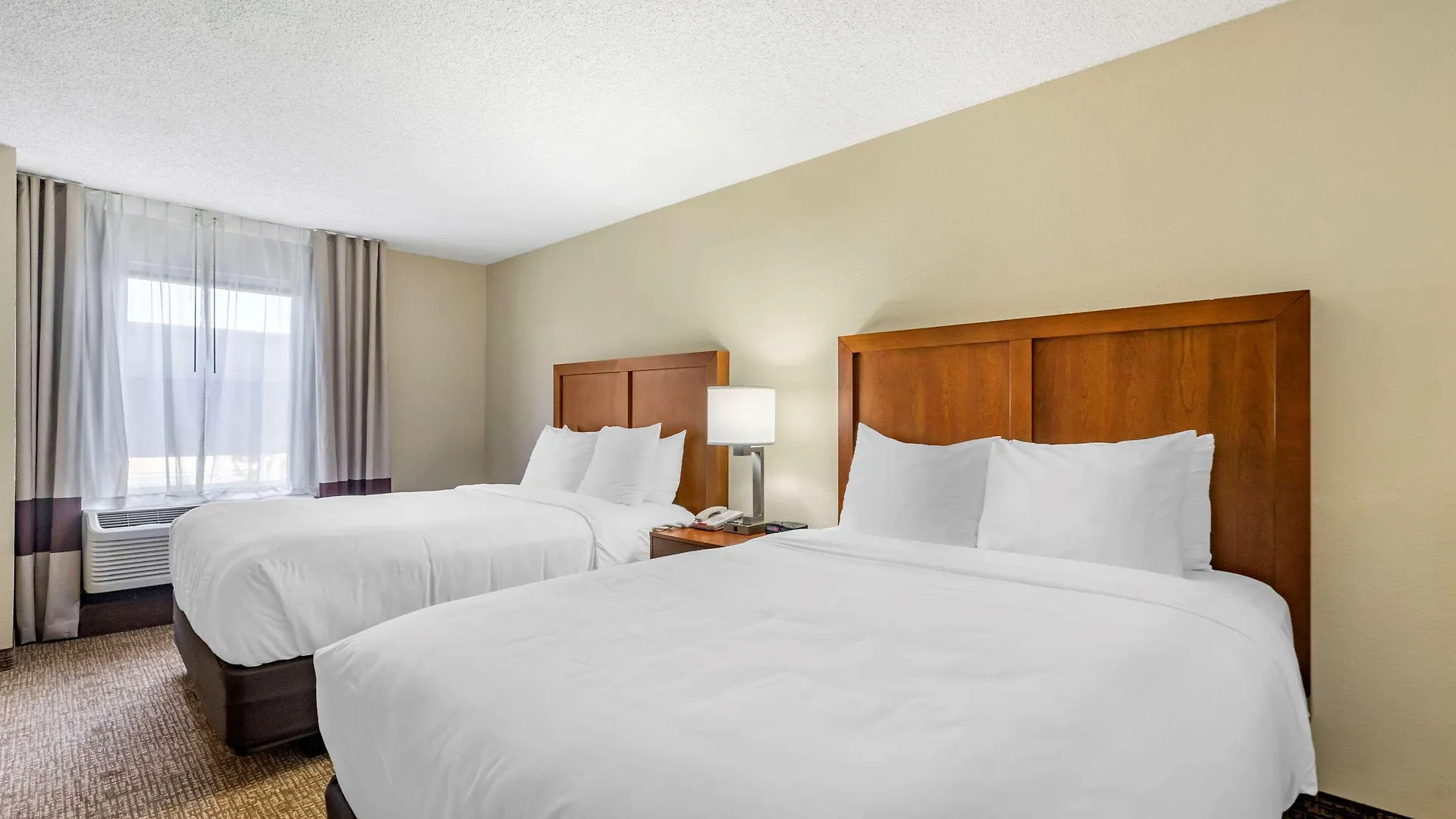 Comfort & St Pete - International Airport Hotell Clearwater