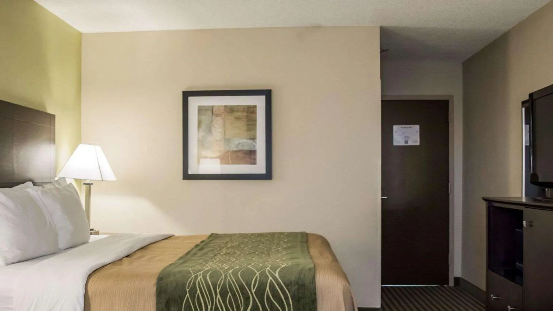 Comfort & St Pete - International Airport