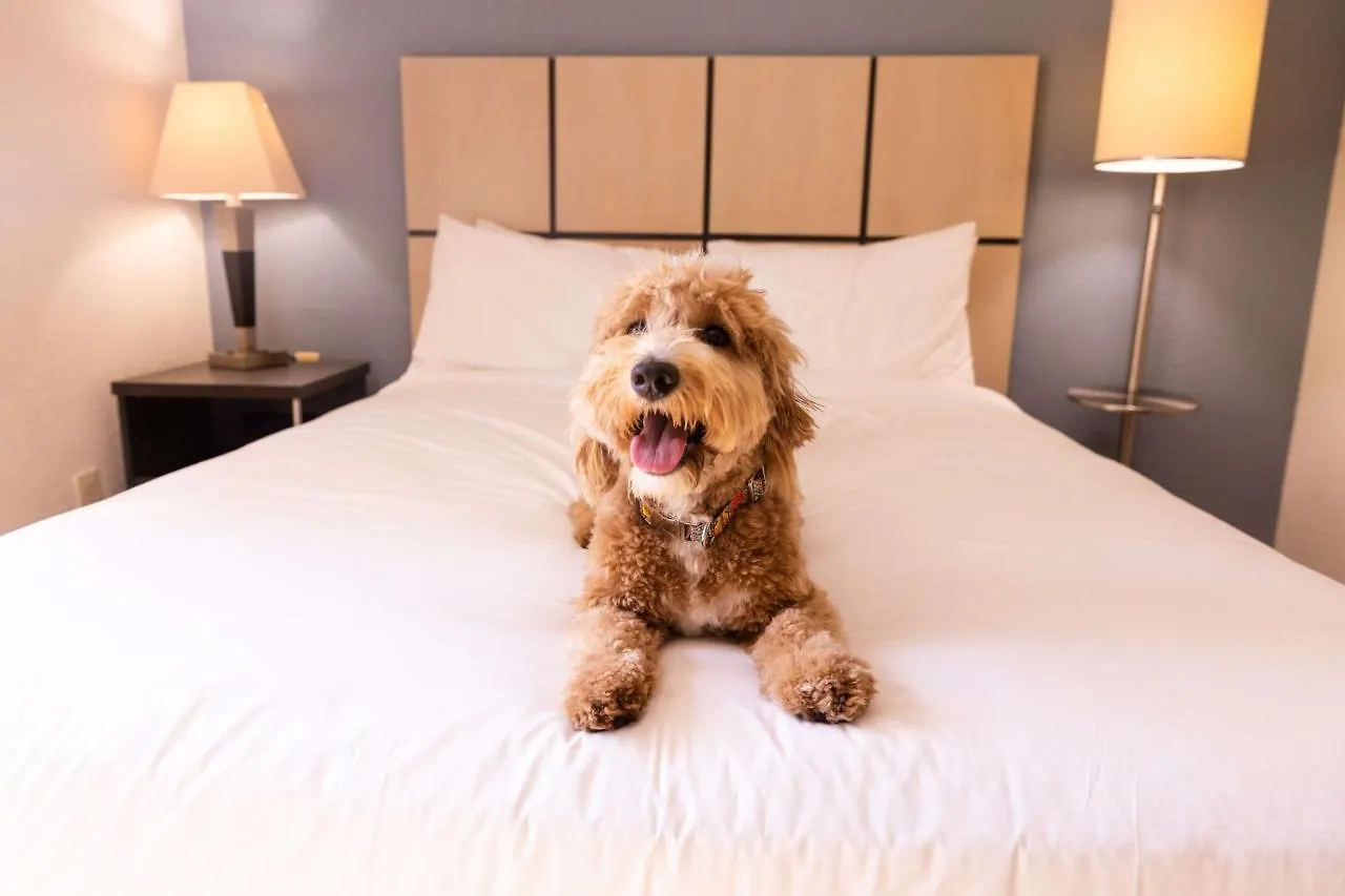 Sonesta Simply Hotel