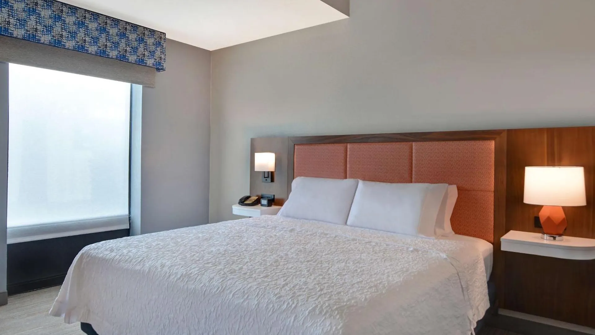 Hotel Hampton & St Petersburg Ulmerton Road Fl Clearwater