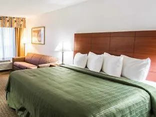 Surestay By Western St Pete Airport