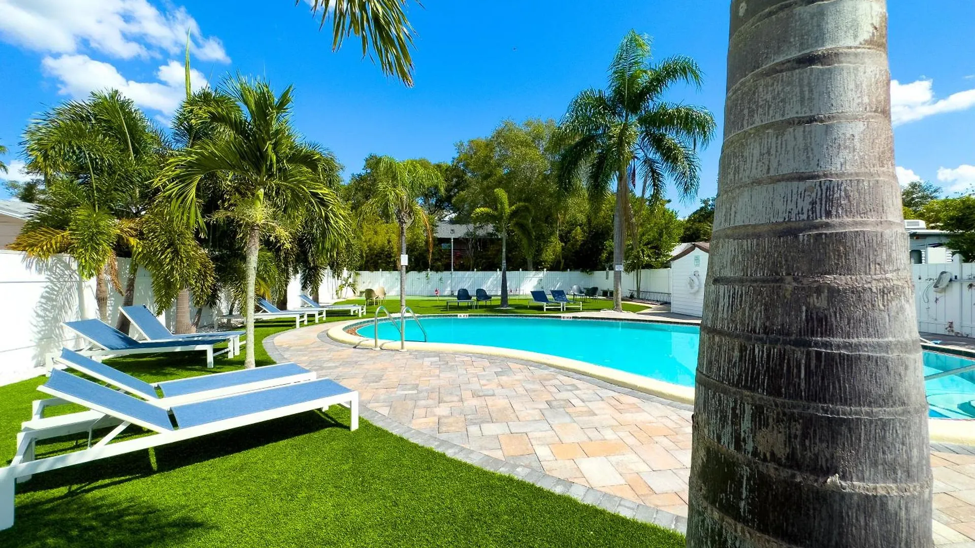 Apartament 1k Bed With Shared Pool 16 Clearwater