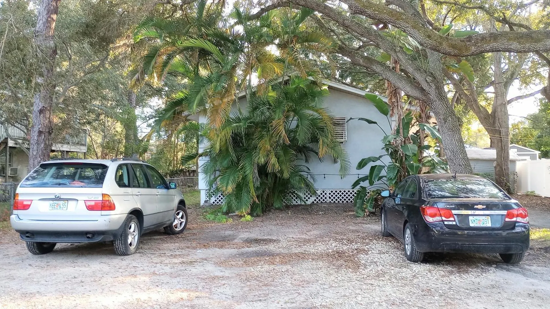 Lenny's Cooperative Clearwater