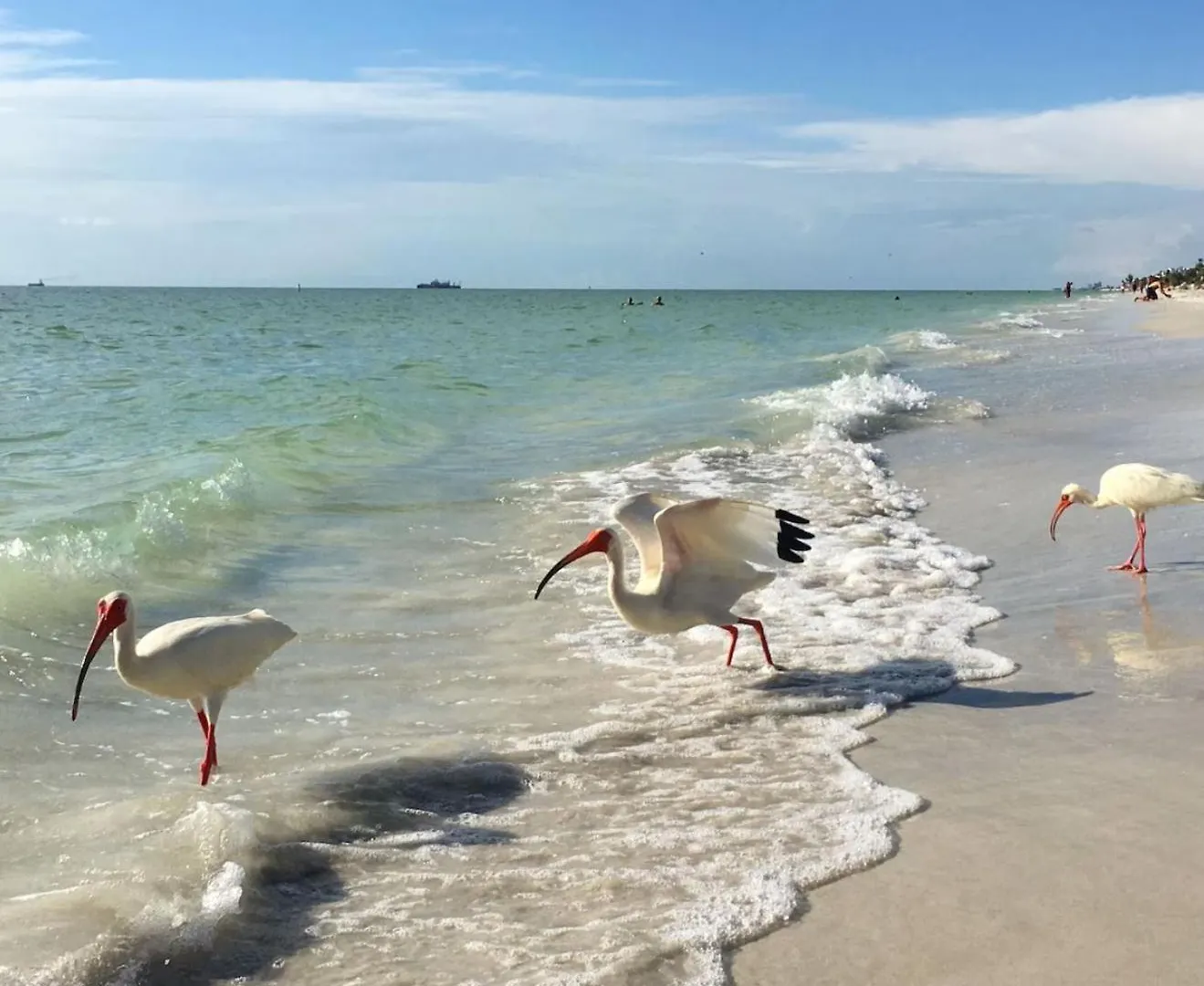 Beach, Florida, Modern Fully Renovated 2nd Floor Condo, Heated Pool