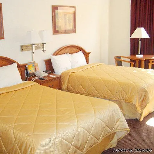 Tropical Palms 3* Клируотер