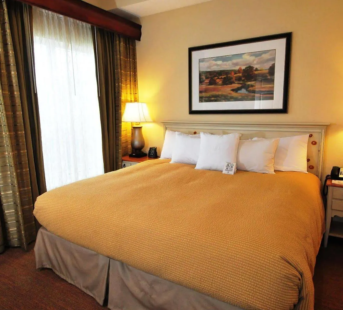 Homewood By Hilton St. Petersburg 3*