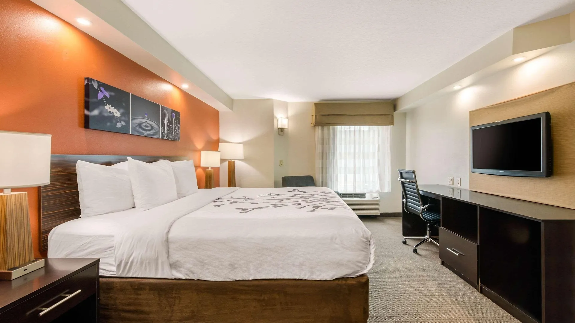 Inn Sleep Clearwater-st Petersburg