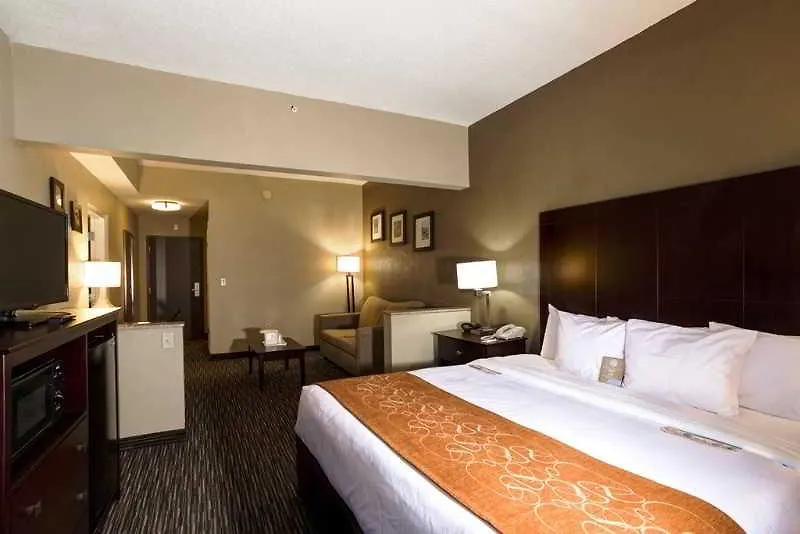 Отель Comfort - Dunedin 3*