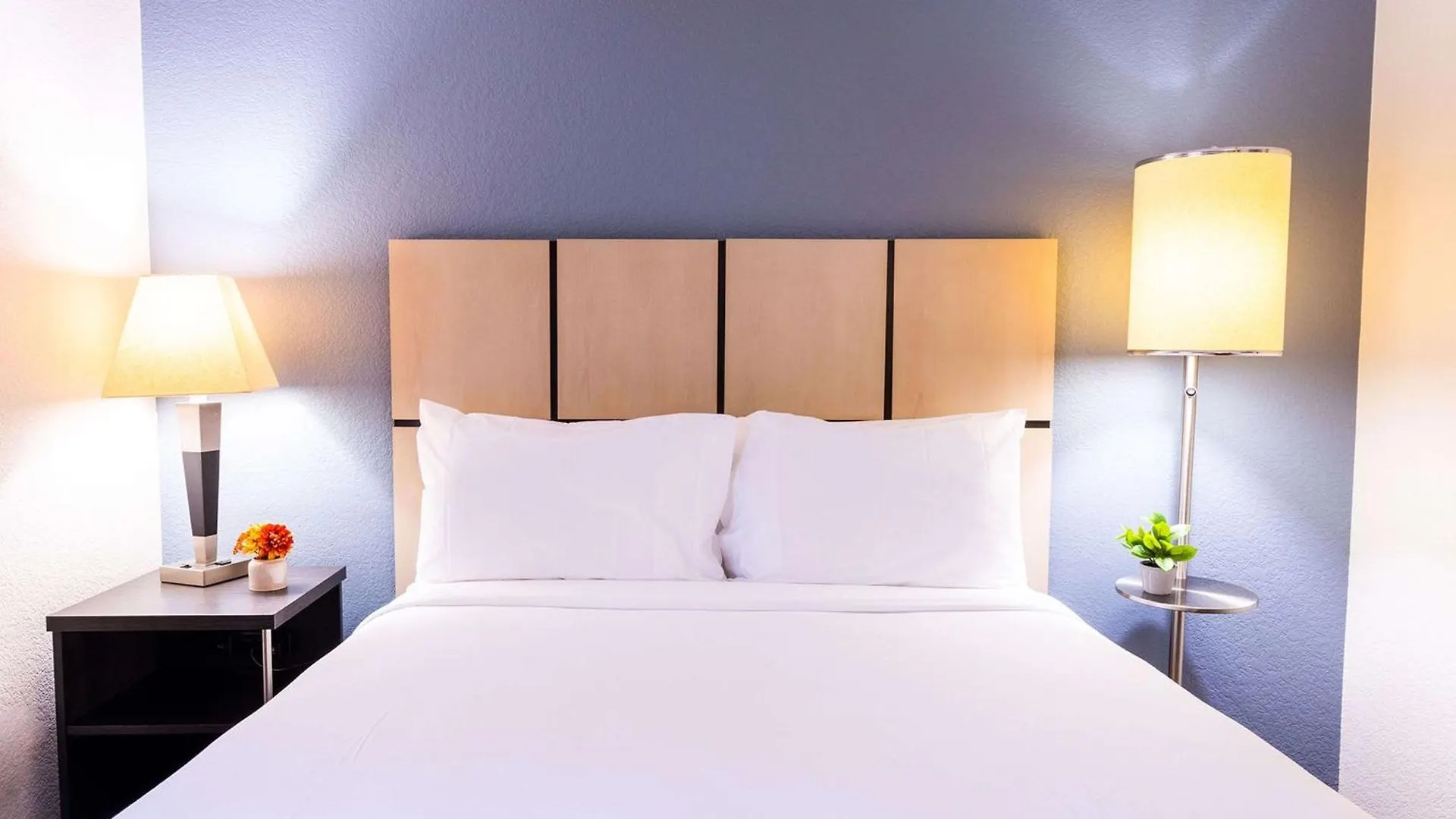 Otel Sonesta Simply Clearwater