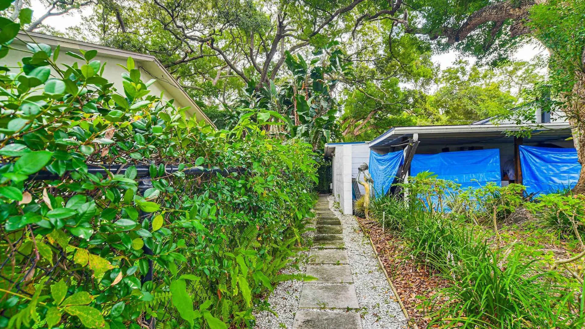 Peaceful Near Golf Course In Clearwater! Apartment Clearwater