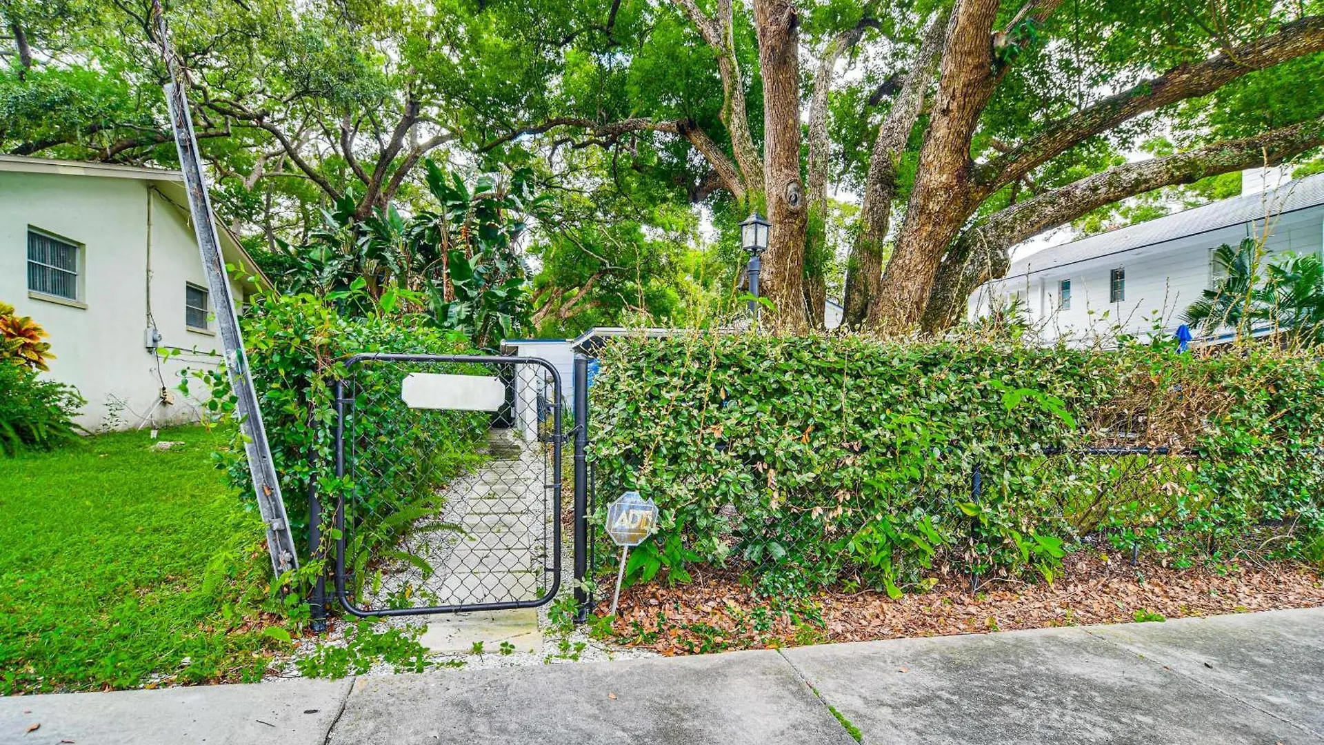 Peaceful Near Golf Course In Clearwater! * Clearwater